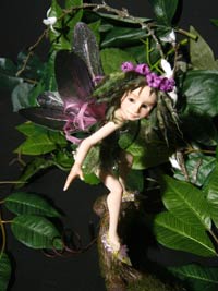 Fairy Fae Alga